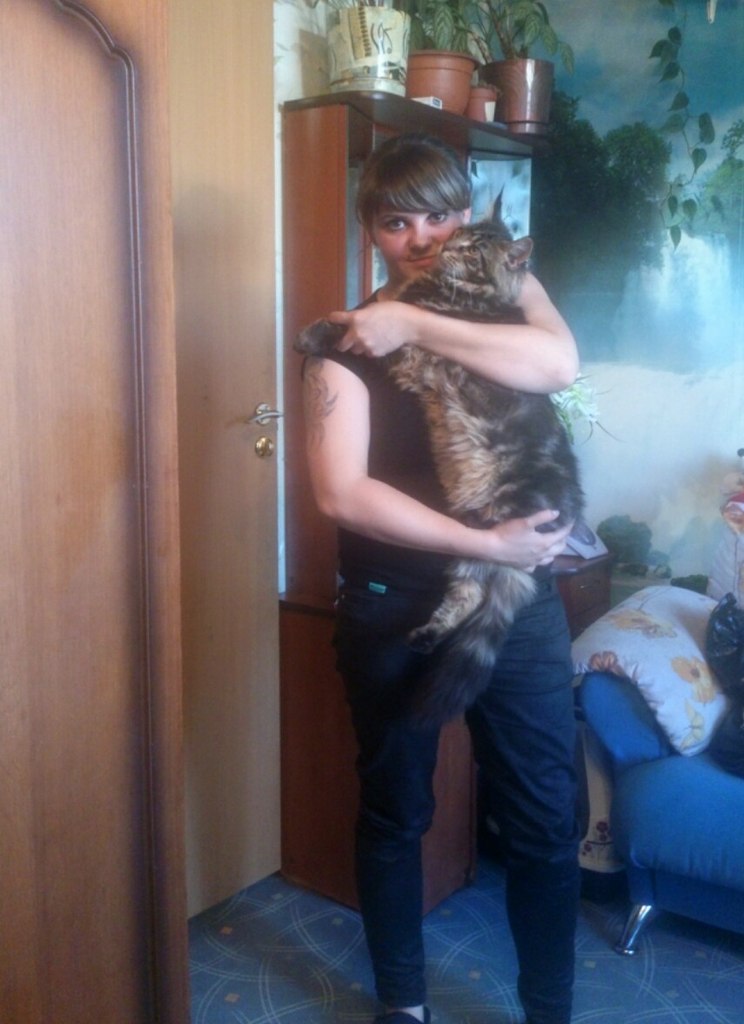 Кот мейн кун Куни (20140708_110004)