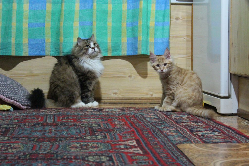 Лео и Сева (IMG_5630)