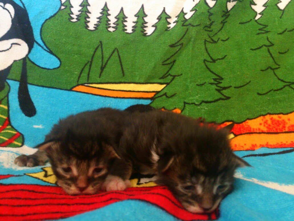 10 дней от рождения (6HJPyDFsVT8)