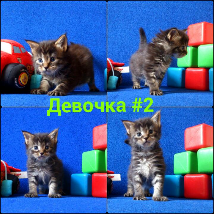 Месяц от рождения (3dKSIHI9GkE)