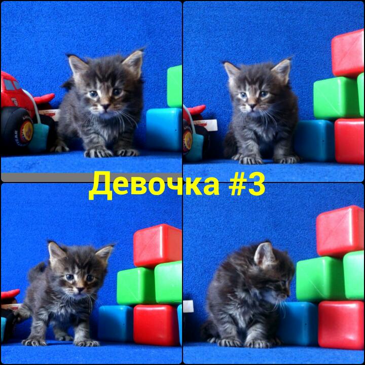 Месяц от рождения (49J-3VTpOzQ)