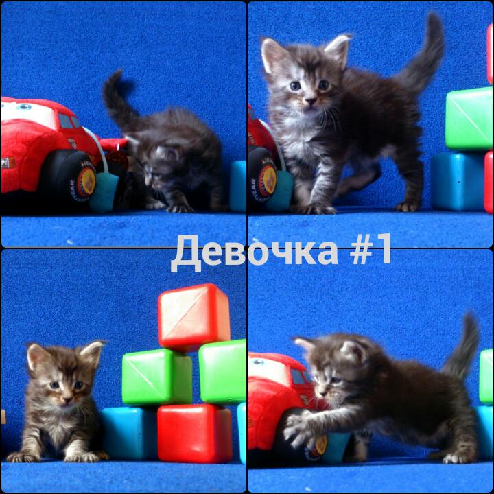 Месяц от рождения (-dMTA5MwKfk)