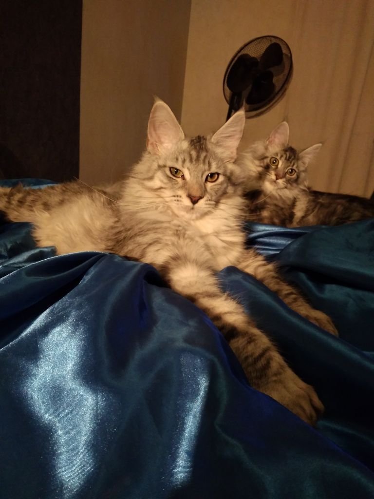 IMG_20180118_221053