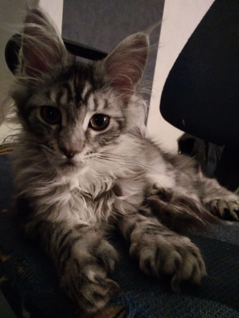 IMG_20171212_181115